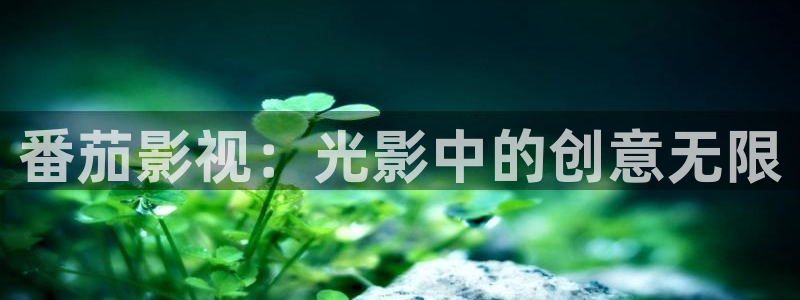 青柠在线影院观看：番茄影视：光影中的创意无限