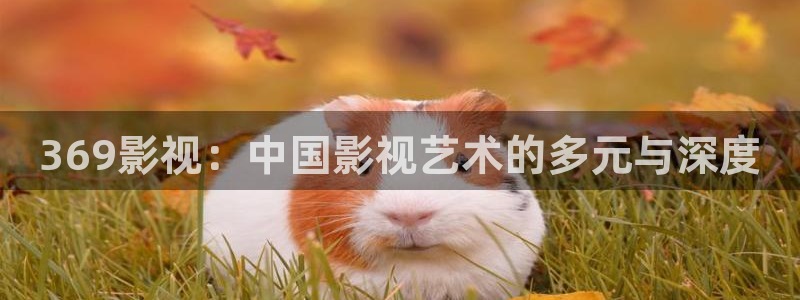 青柠在线电视剧免费观看西瓜影院：369影视：中国影视艺术的多元与深度